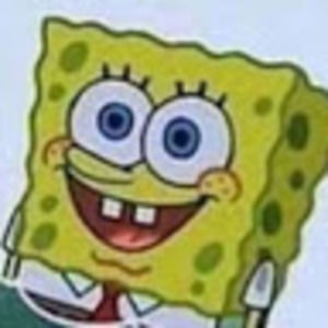 Meet your Posher, Its